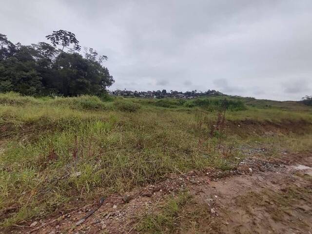 #275 - Terreno para Venda em Joinville - SC - 1