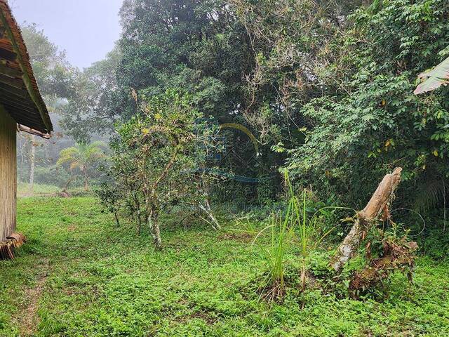 #281 - Terreno para Venda em São Francisco do Sul - SC - 2