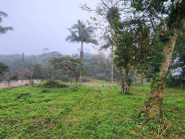 #281 - Terreno para Venda em São Francisco do Sul - SC - 3