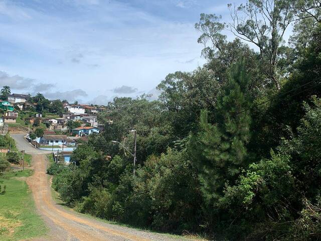 #307 - Área para Venda em Rio Negrinho - SC - 2