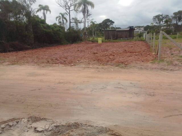 Venda em Praia do Erwino - São Francisco do Sul